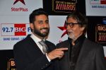 Amitabh Bachchan, Abhishek Bachchan at Big Star Entertainment Awards Red Carpet in Mumbai on 18th Dec 2014